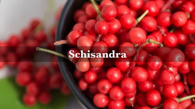 Premium Blends смотреть онлайн