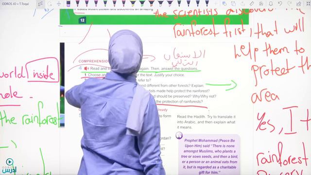 Present perfect with yet and already - الصف العاشر смотреть онлайн