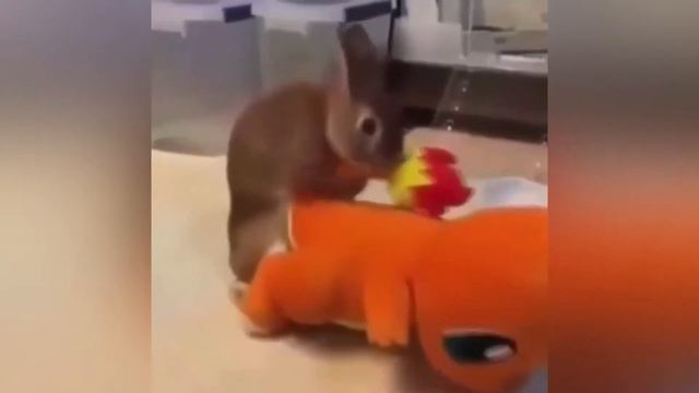 ГДЕ ЕЩЕ ТАКОЕ УВИДИШЬ 😅 | ЛУЧШИЕ ВИДЕО 2018 смотреть онлайн