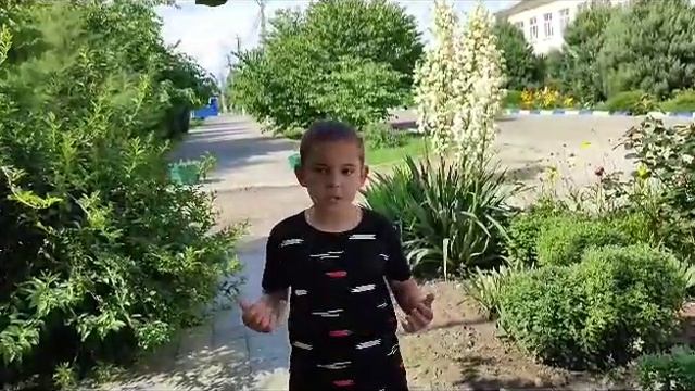Алена Васильченко "Мне нравятся люди..." смотреть онлайн