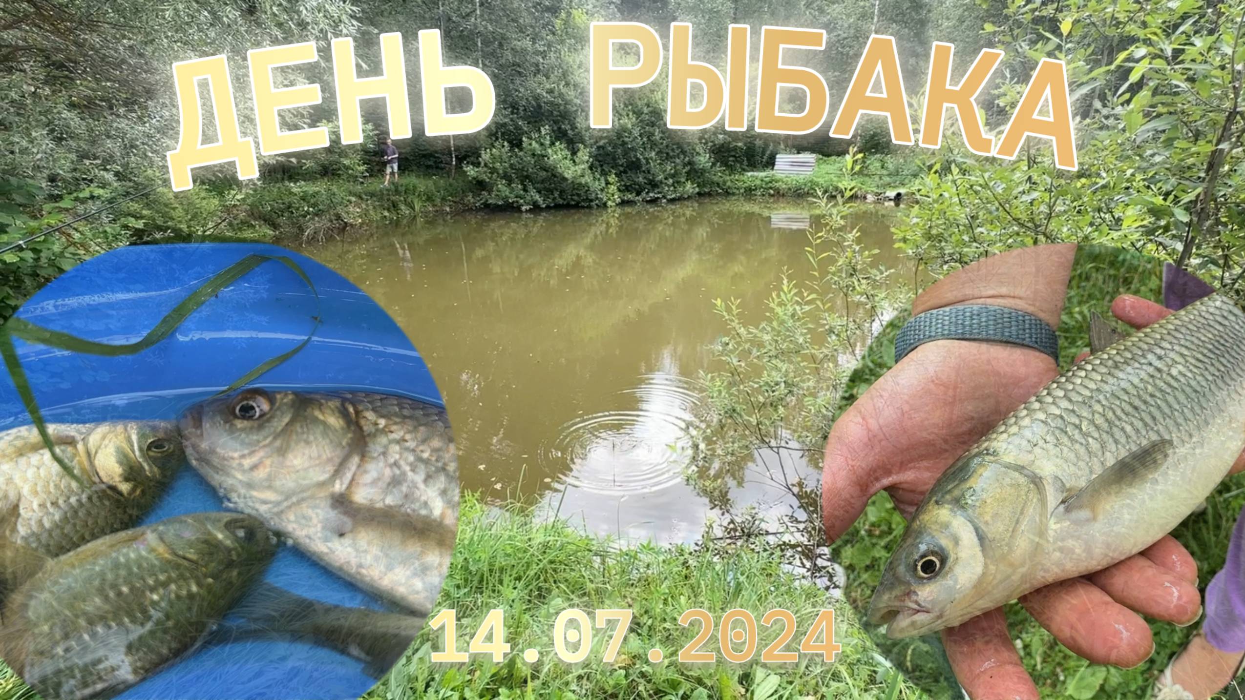 День рыбака 2024. Дачные истории.