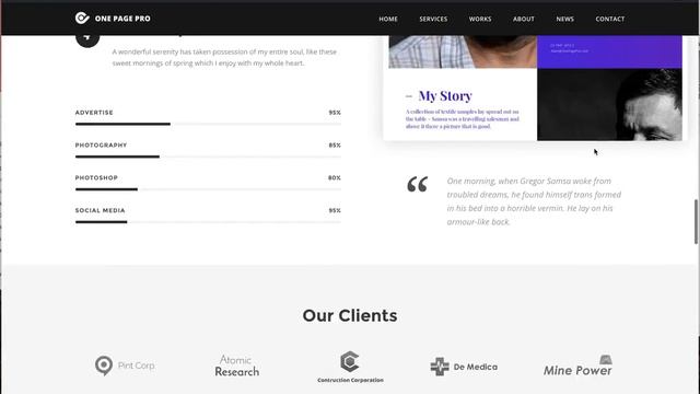 One Page Pro - Set up as demo site смотреть онлайн