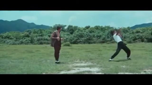 La Serpiente a la Sombra del Mono 1979 Pelicula En de kung fu En Espanol Latino 2020 смотреть онлайн