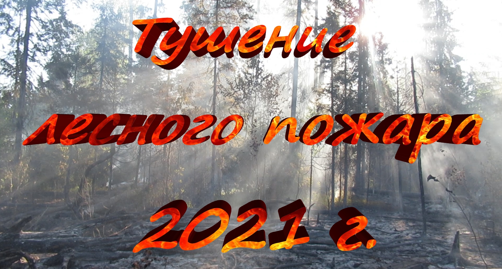 Тушение лесного пожара 2021г..mp4 смотреть онлайн