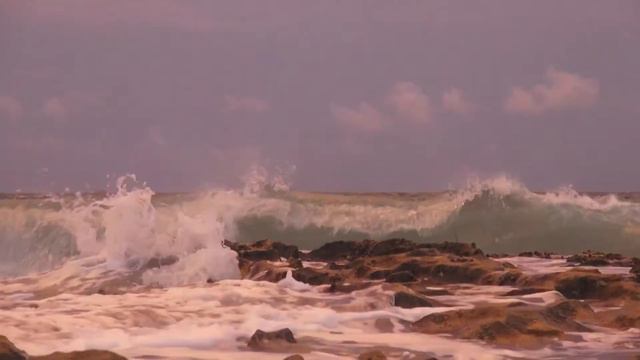 Beached, song 2 from Pro-Choice on Mental Health Video Assembly смотреть онлайн