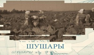 Шушары / «Малые родины большого Петербурга»