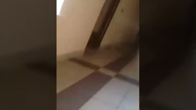 Диана и школа