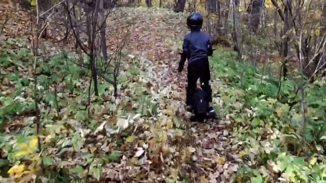 На моноколесе Винновская роща по листве Electric unicycle 20191003 смотреть онлайн