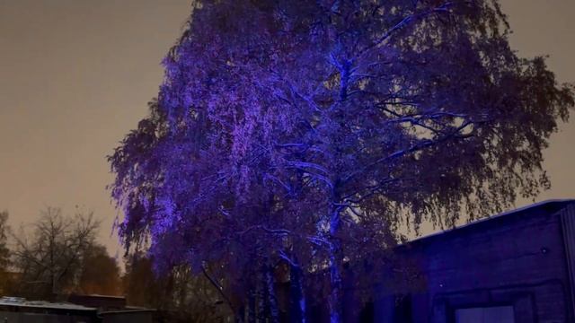 lightbook беспроводной свет для архитектурной подсветки смотреть онлайн