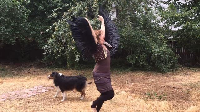 Dancers Wings demo in Black Feathers with flesh colored sleeves смотреть онлайн