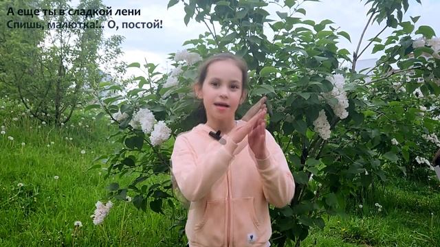 А. Н. Майков. Боже мой! Вчера - ненастье... смотреть онлайн