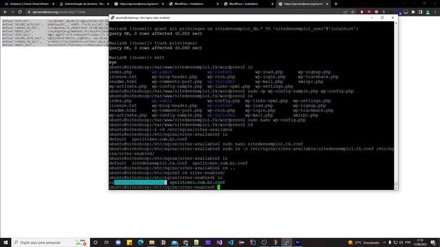 Hospedando 2 ou mais sites wordpress com nginx no mesmo ip na Oracle Cloud free tier (linux) смотреть онлайн