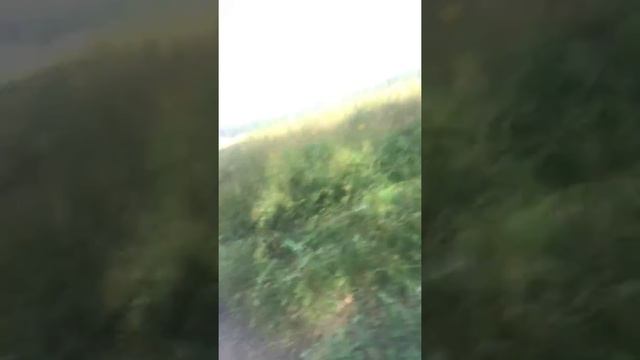 Забег с горы Волчиха смотреть онлайн