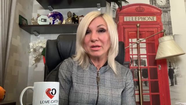 Молозиво и иммунитет у котят. смотреть онлайн