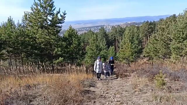 Тропа здоровья Улан-Удэ на Аршане смотреть онлайн