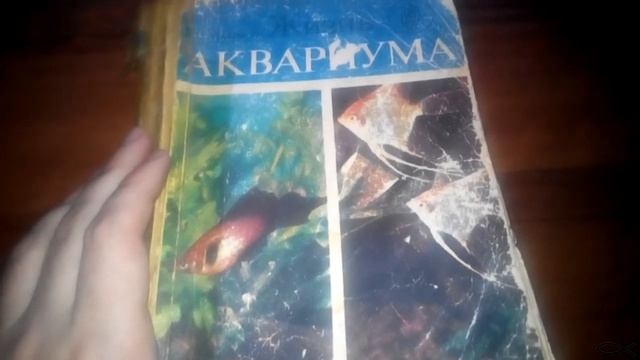 Какие бывают отоцинклюсы? смотреть онлайн