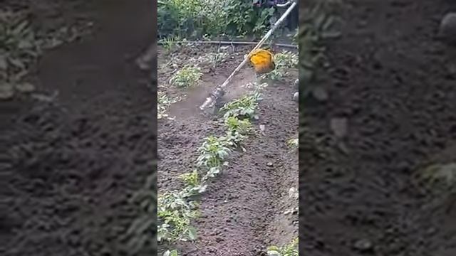 супер насадка на бензо косу. окучиваем картошку. смотреть онлайн