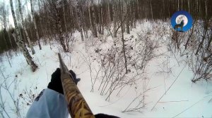 ВЫТРОПИЛ И КРАСИВО ВЗЯЛ * ОХОТА НА ЗАЙЦА