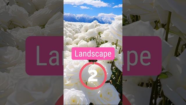 Переведи слова с английского #уровеньС1 #английскийлегко смотреть онлайн