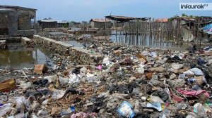 Антропогенное воздействие на биосферу | Биология 11 класс #34 | Инфоурок