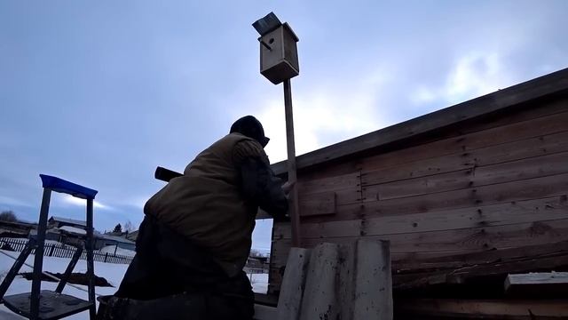 Купили ещё телят в хозяйство. Готовим клетку под бычков. Жена ржёт над скворечником, что я сделал.