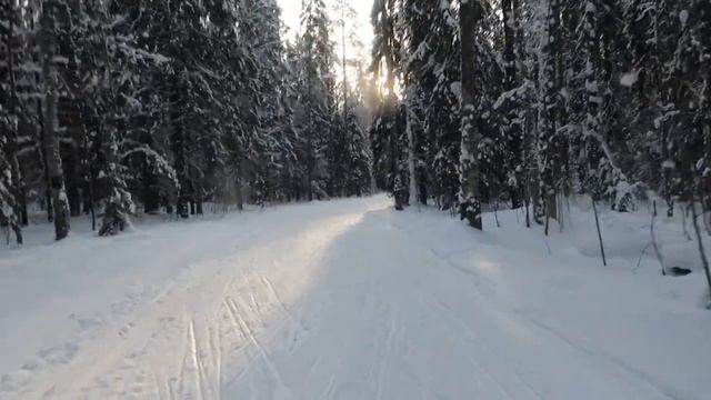 Лыжная прогулка в Кондопоге, респ. Карелия. смотреть онлайн