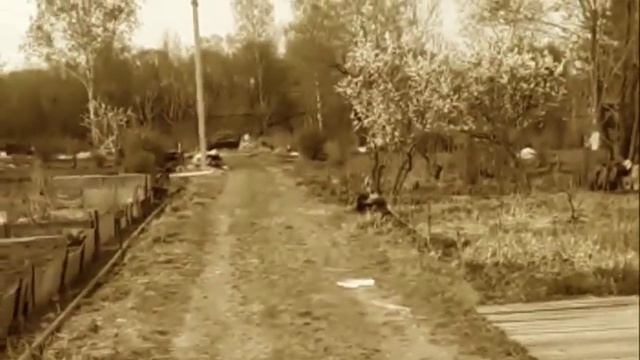 Нас бьют мы летаем))) Алёна КАНАПЛЯ, Валентина спасибо смотреть онлайн