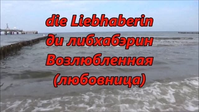 САМЫЕ ВАЖНЫЕ НЕМЕЦКИЕ ФРАЗЫ О ЛЮБВИ ,С НОСИТЕЛЕМ ЯЗЫКА смотреть онлайн