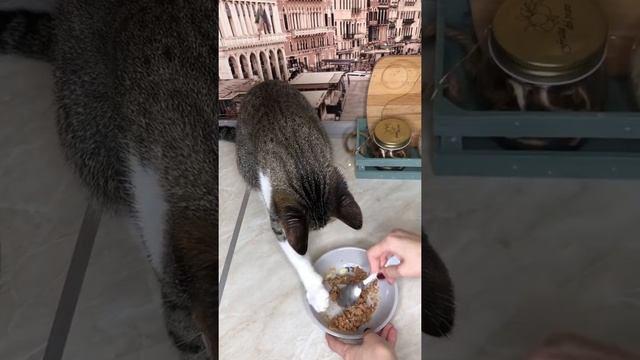 Татуировка под кожей