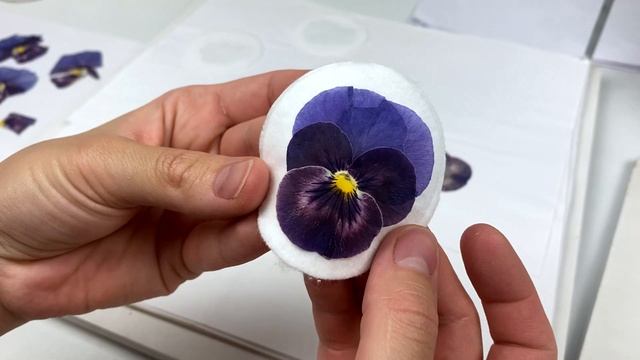 АНЮТИНЫ ГЛАЗКИ ❤️ СУХОЦВЕТЫ ❤️ PANSIES || PRESSED FLOWERS смотреть онлайн
