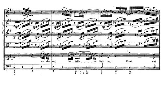 Weichet nur, betrübte Schatten (1/2) - BWV 202 - Sandrine Piau, Ton Koopman смотреть онлайн