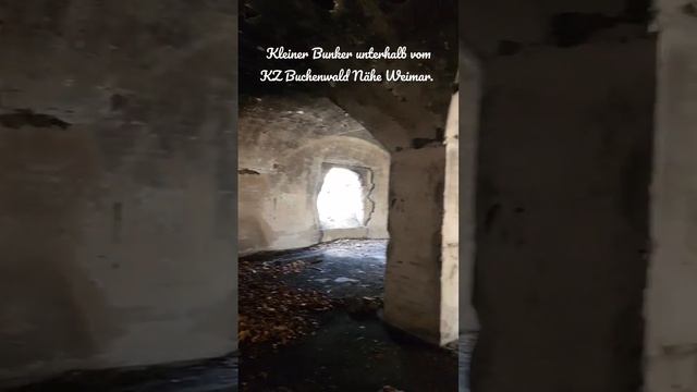 Lost Place - Kleiner Bunker unterhalb vom KZ Buchenwald смотреть онлайн