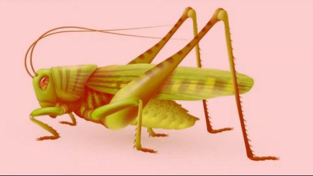 Курс Кузнечик - Расширенное промо смотреть онлайн