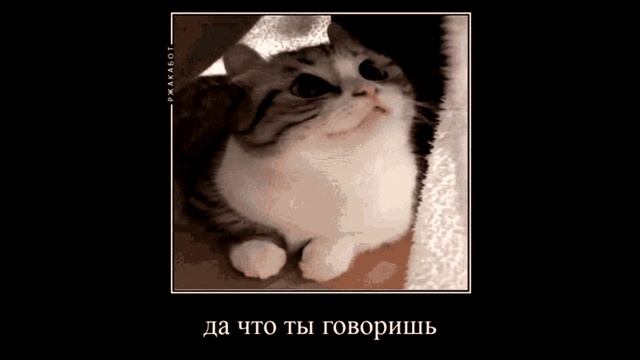 блин блинский опять кринж 2 смотреть онлайн