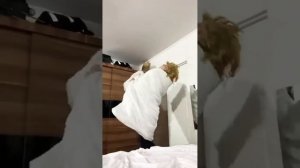 veydi_rush |Приколы про Марину | TikTok Time