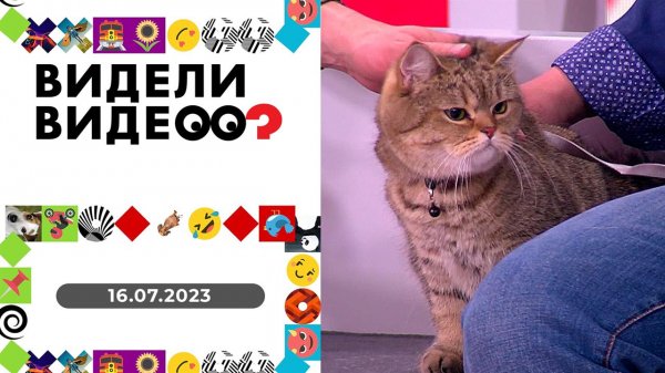 Видели видео? Выпуск от 16.07.2023