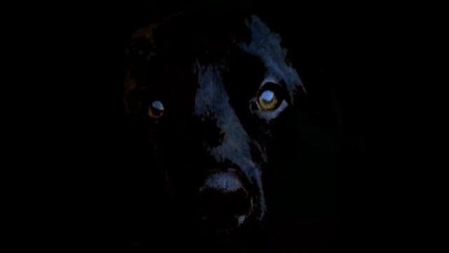 Сказка для детей: Котенок Сливка смотреть онлайн