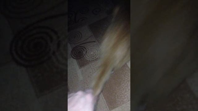 Почему у кошки глаза светятся ?)) смотреть онлайн