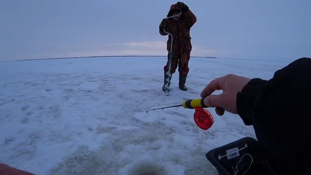 Опустил подводную камеру в поисках хищника. Зимняя рыбалка 2023. смотреть онлайн