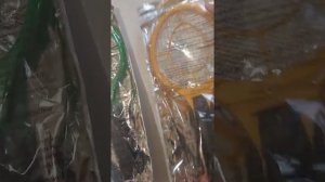 Проверка работоспособности мухобойки