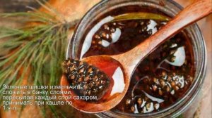 Целебные свойства зеленых шишек сосны, когда и как собирать  Сосновый мед и лечебное сосновое