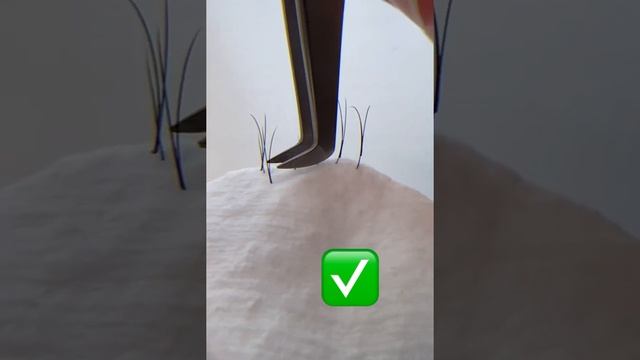 21 июля 2022 г. смотреть онлайн