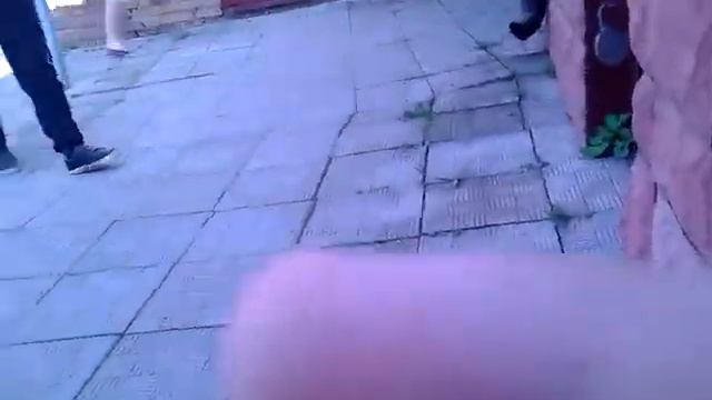 Приложение другой рейс смотреть онлайн