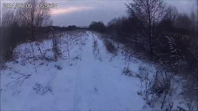 Вечер Кашира собаки Kayo AU 150 смотреть онлайн
