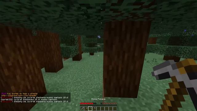 DOŁĄCZYŁEM NA SERWER P2W W MINECRAFT смотреть онлайн