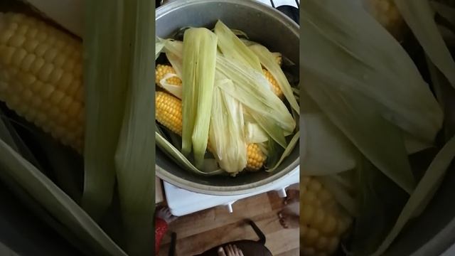 Как вкусно варить сочную кукурузу смотреть онлайн