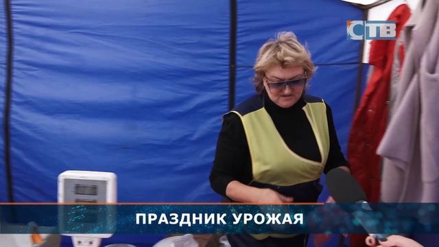 22.09.2023 Ярмарка "Праздник урожая" у мэрии смотреть онлайн