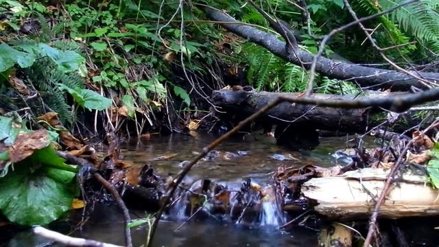 Иисусова молитва | родник смотреть онлайн