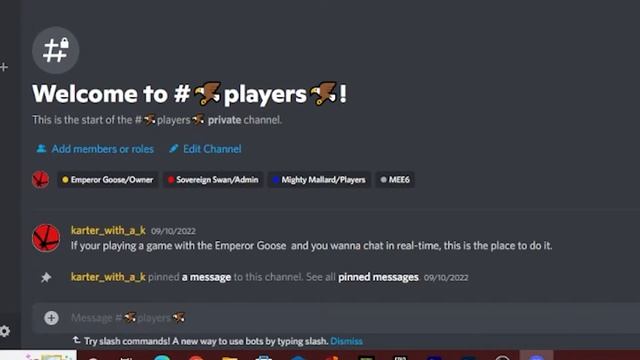 I Made A Discord Server For All Gamers смотреть онлайн