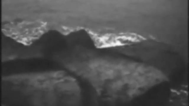 Эстрада 60-х. Вадим Монин и оркестр Эдди Рознера.